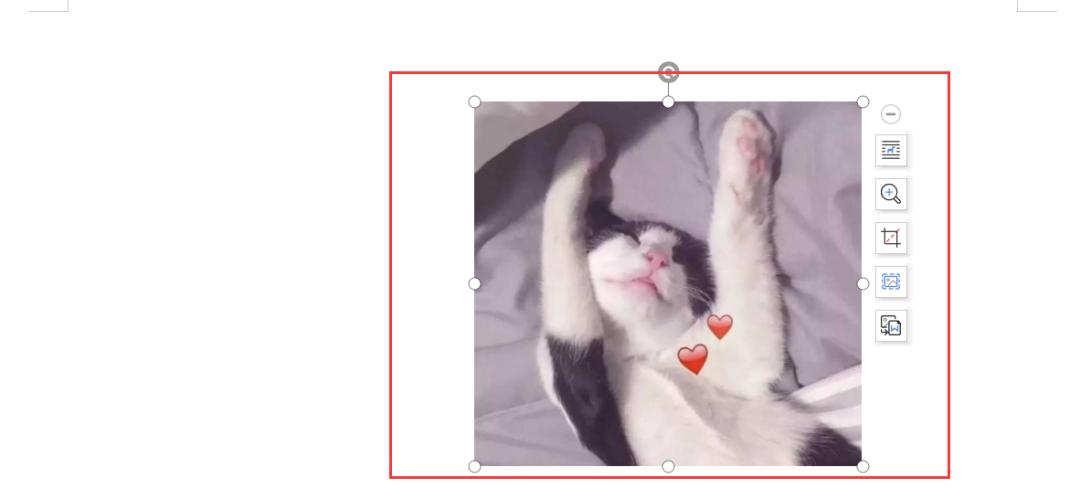 实用又易懂的WPS文档小技巧，快来一起学习吧