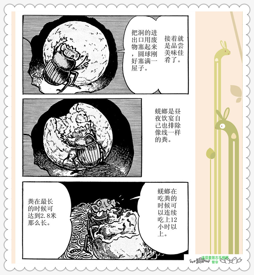 昆虫记法布尔动画片,昆虫记法布尔全套