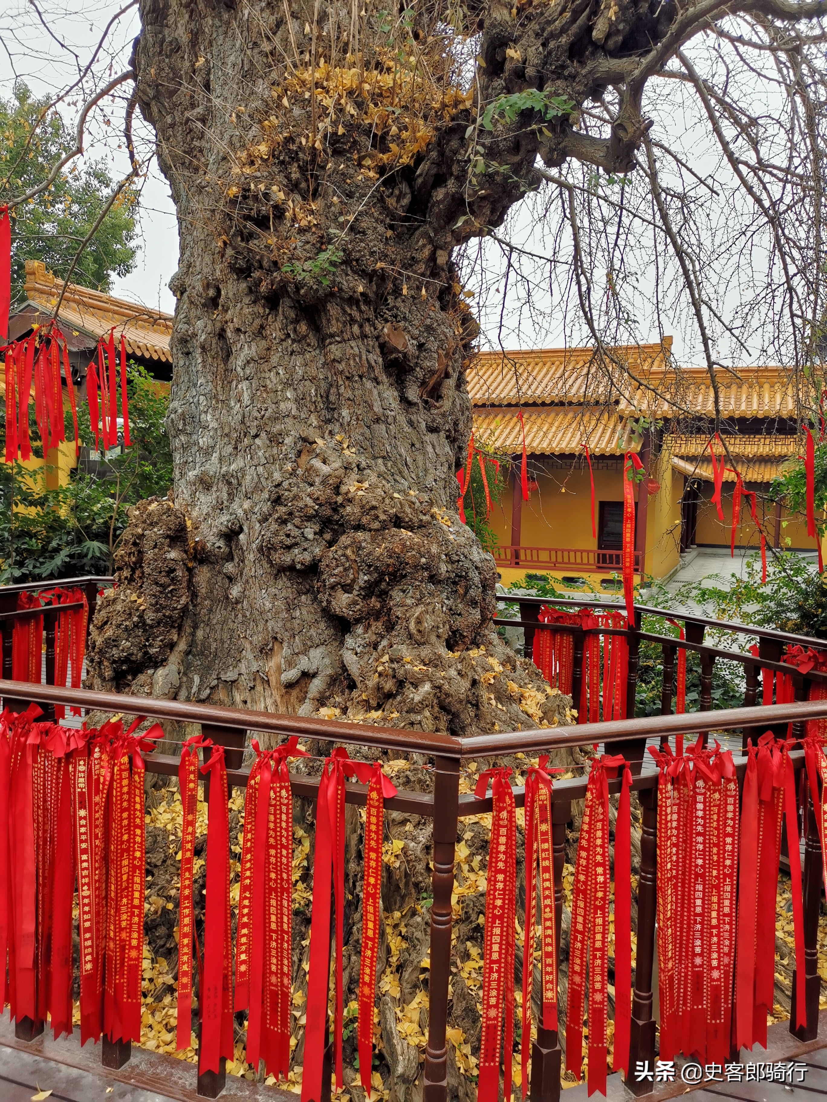 骑车看上海，二严寺