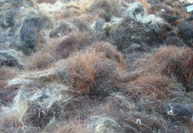 猪鬃也是好东西？*器武**没了它就等着报废，引德美苏三国争相抢购