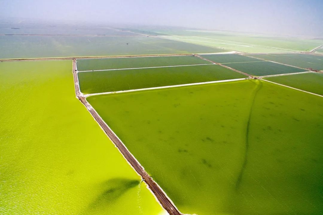 青海旅游攻略景点必去,一生一定要去一次青海吗