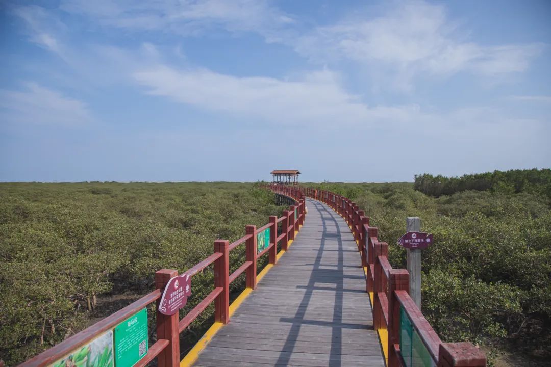 银海风景,银海美景