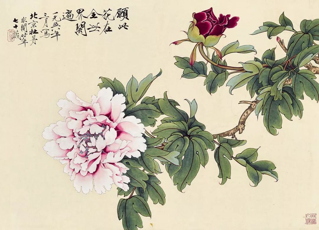 100幅精美写意牡丹画,名家大写意画牡丹作品图片