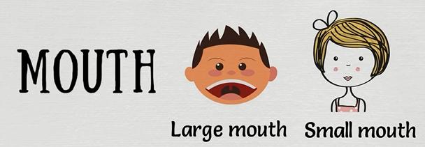 英语学习身体各部位名称,每日英语28个身体部位单词教学