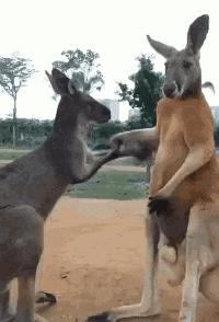 每日一笑看完你能不能忍住不笑,每日一笑看了让你笑