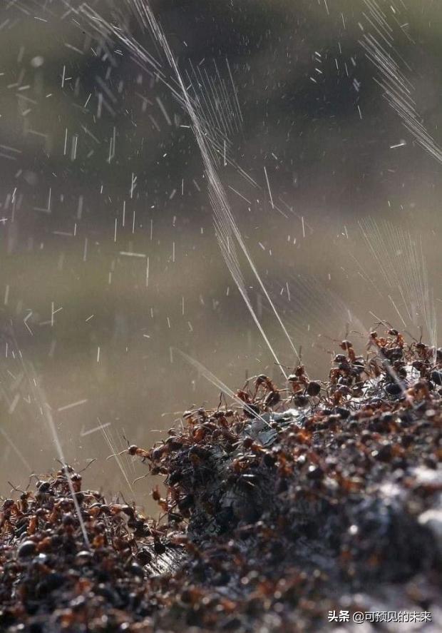 大自然的奇妙之处写话,大自然的奇妙之处作文350字