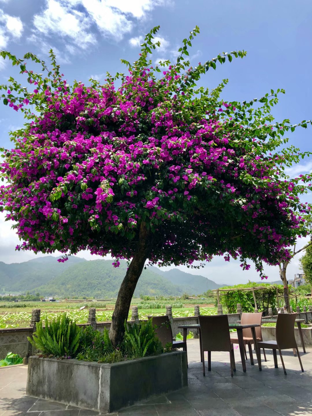 第1天去腾冲怎么玩,第一次去腾冲住哪里