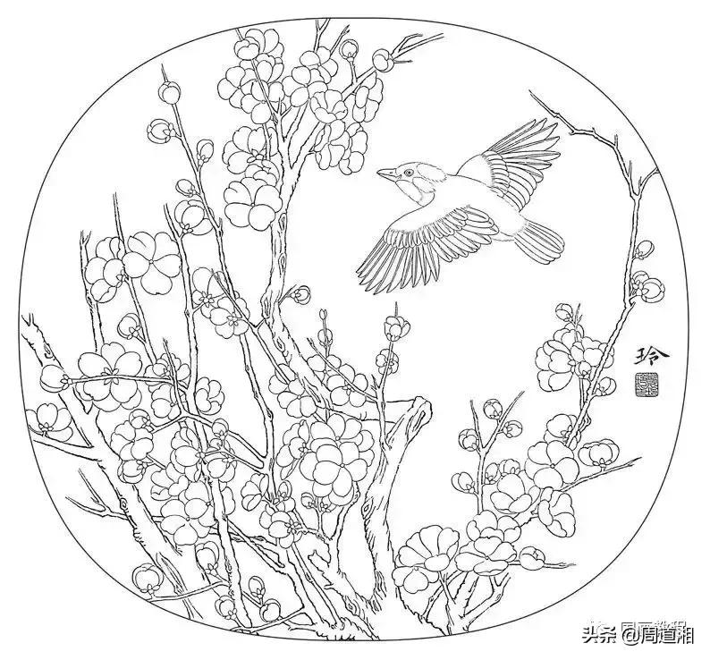 宋人工笔花鸟临摹步骤,工笔花鸟玉兰的画法