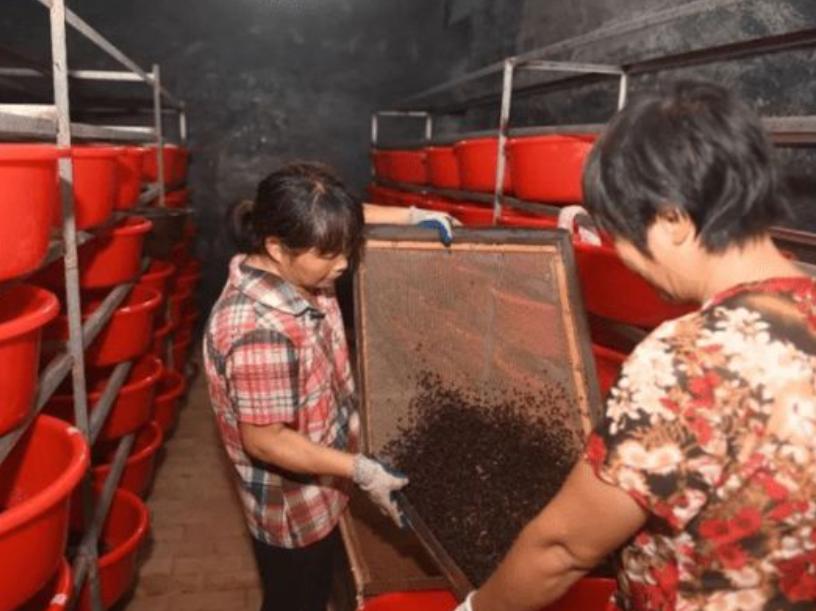 李延荣蟑螂养殖场具体位置,李延荣蟑螂养殖场现在怎么样了