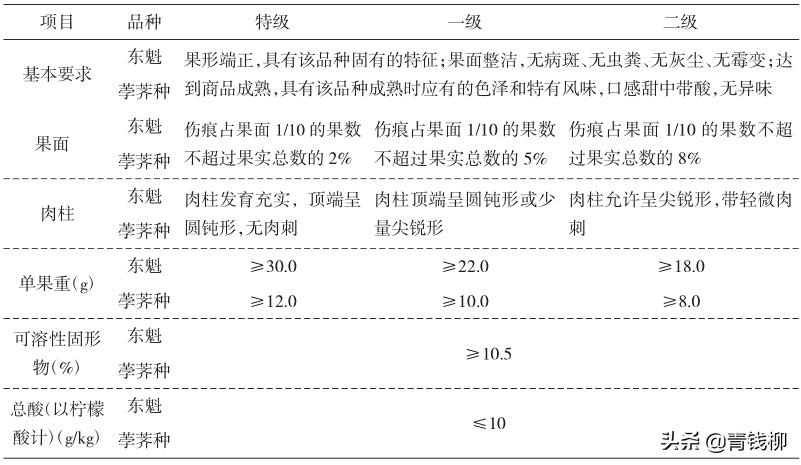 文成杨梅品牌介绍,东魁杨梅生产标准化规程