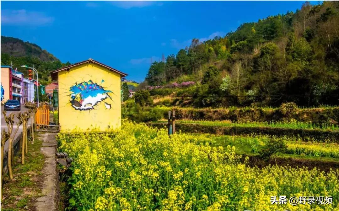 春天来了，这个四月请开启小情侣打卡模式，单身狗们千万不要点