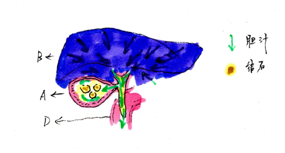 舍利子是什么意思,舍利子背后的故事