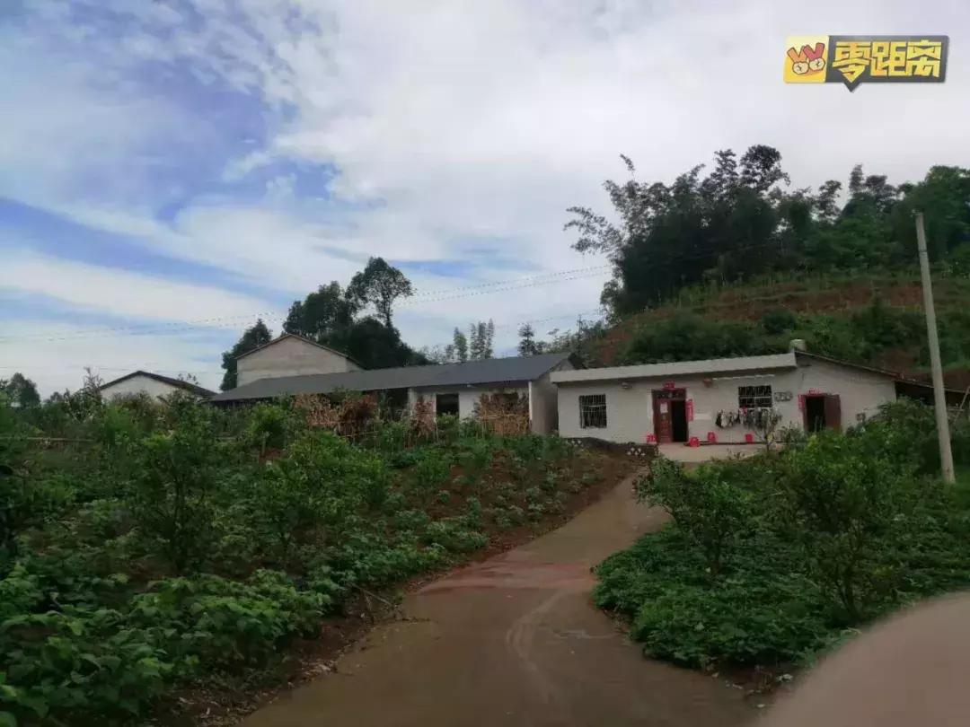 10块钱能吃遍宜宾这个镇？还有这些城头人不晓得的…