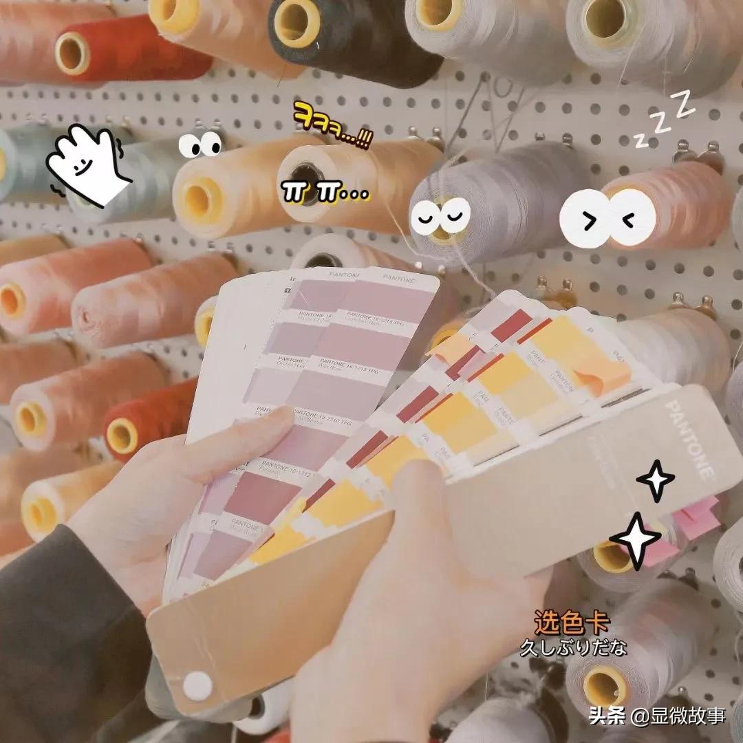 我和女友一起创业，卖内衣、打官司、忘记股权转让