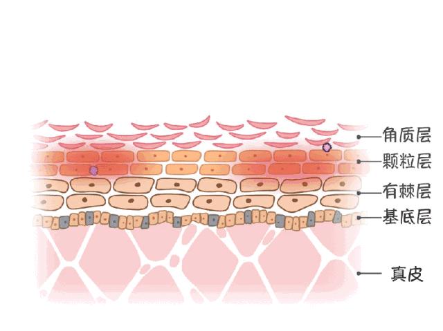 韩后神经酰胺补水保湿面膜,C5神经酰胺保湿修护面膜