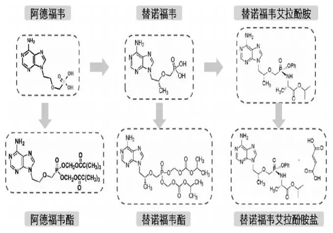 富马酸替诺福韦与丙酚诺福韦区别,替诺福韦与丙酚替诺福韦优劣势