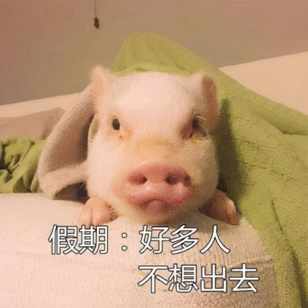 爱奇艺版权受限无法观看视频,爱奇艺视频重新活一次免费观看