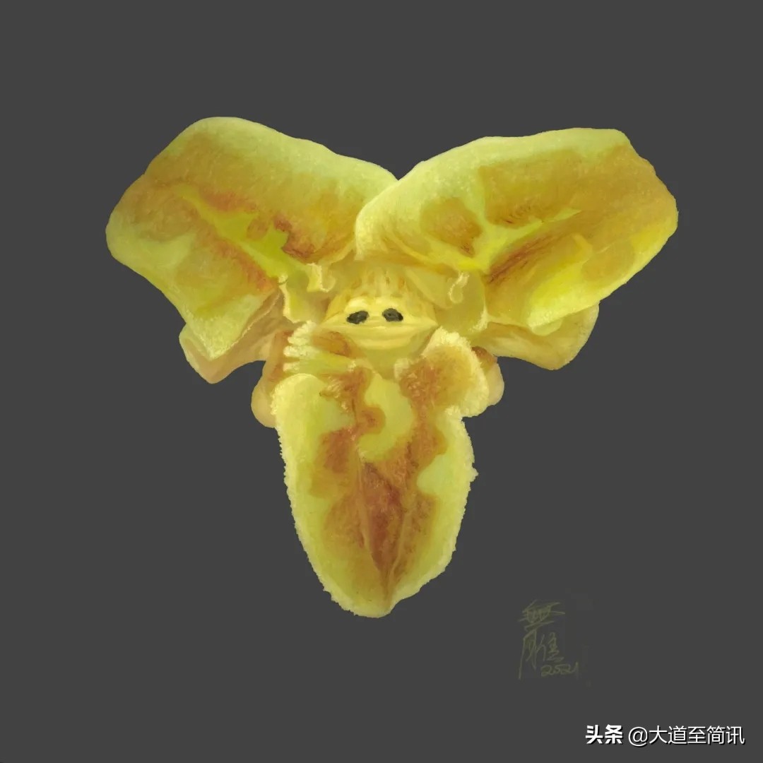 中国文化的冲击与延续,中国文化的重建