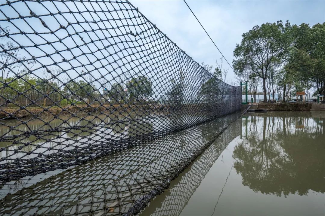 金华儿童乐园,金华市儿童乐园