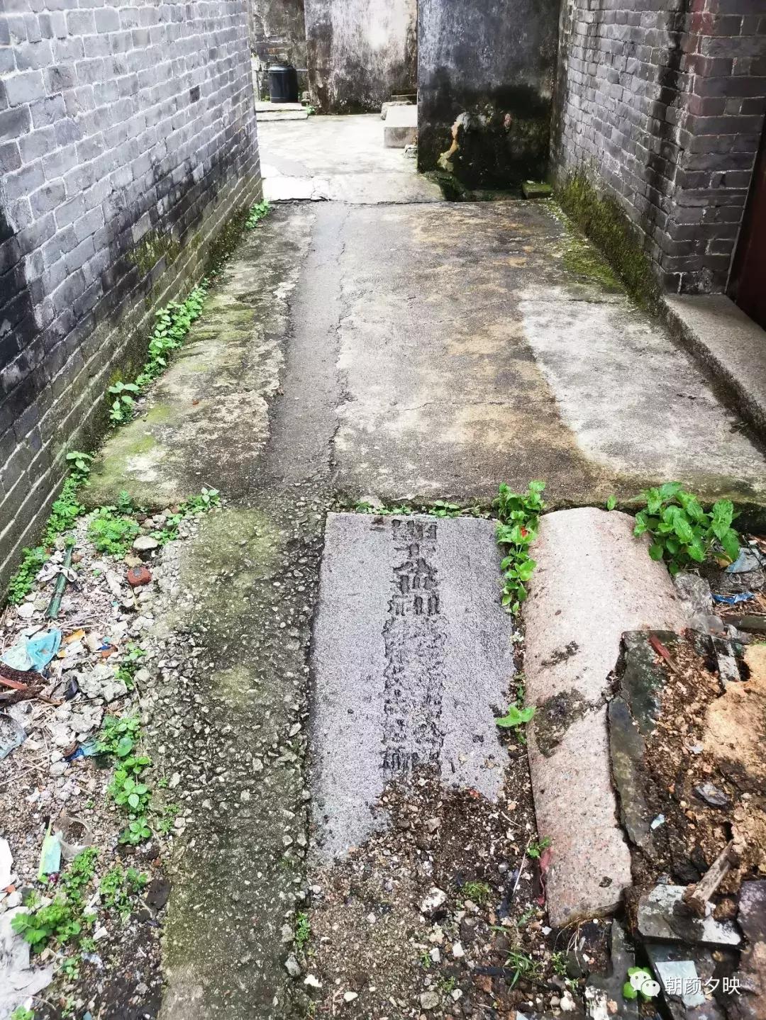 岐阳梧桐起凤环，鹭兮鹭兮寻不见（上）