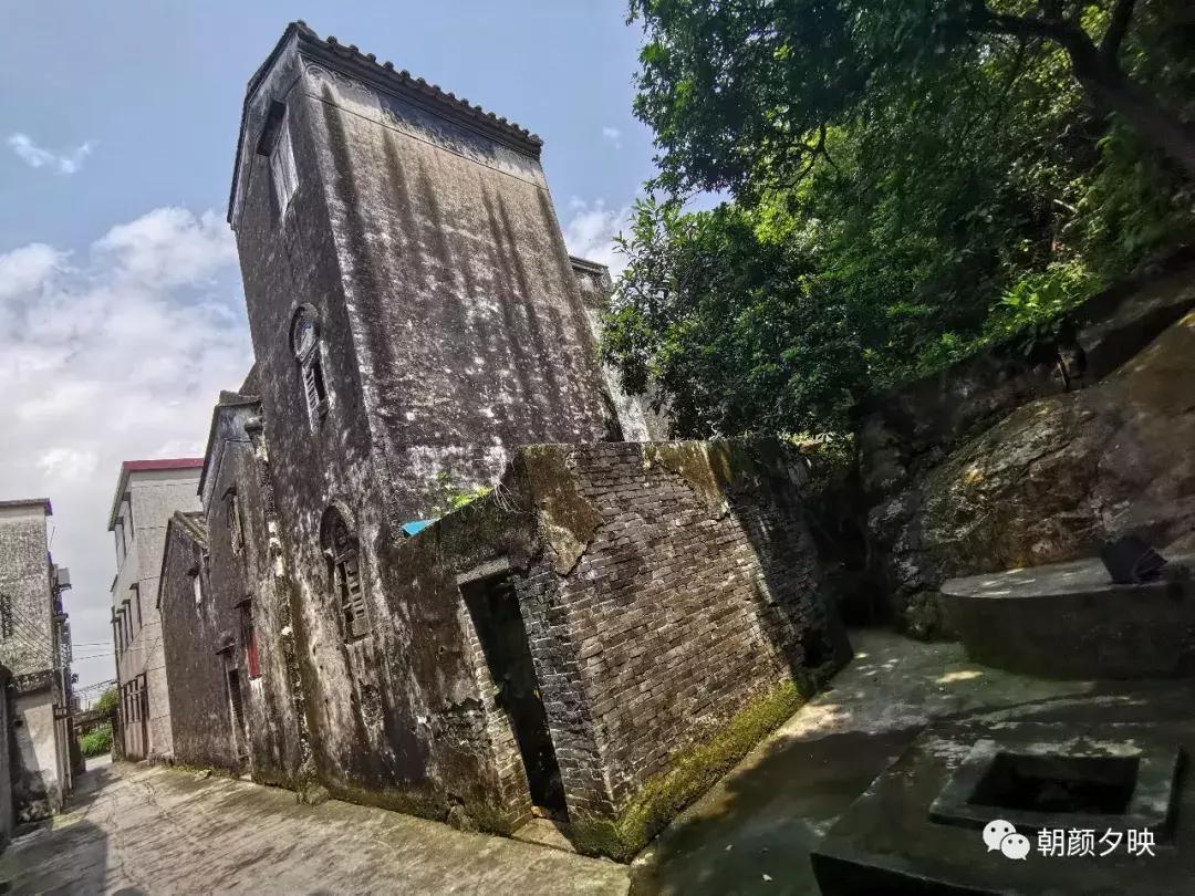 岐阳梧桐起凤环，鹭兮鹭兮寻不见（上）