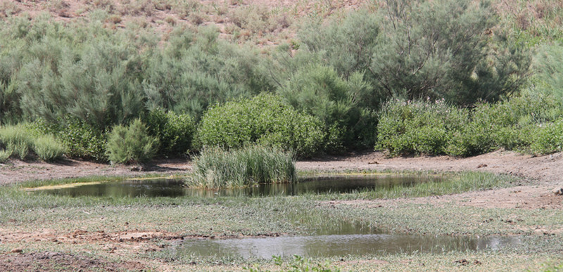 徒步西藏敦煌攻略,徒步走敦煌莫高窟