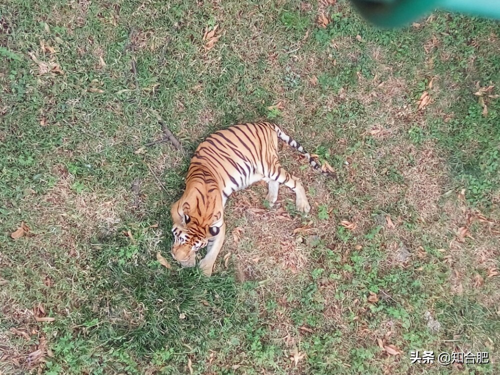 合肥国庆节假期去哪玩三日游,国庆节安徽三日游