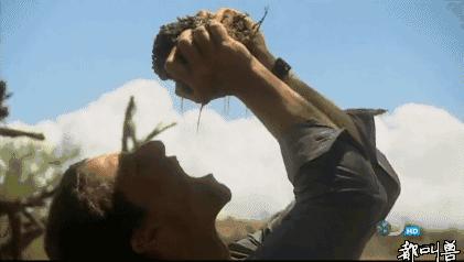 生存小技巧钻木取火,荒野生存取水技巧