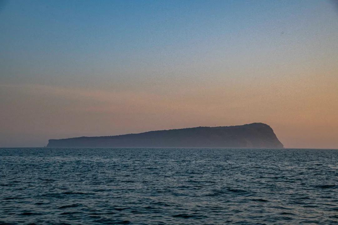 北海布氏鲸视频,广西北海布氏鲸图片