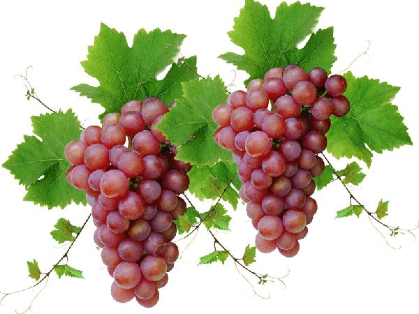 乳房按摩导致乳腺受伤,乳房按摩的不良后果