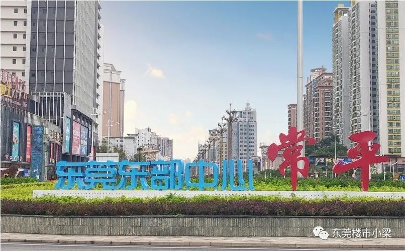 东莞市碧桂园玫瑰臻园,疫情后楼盘首开