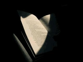 论语里的经典成语,论语中经常用到的成语