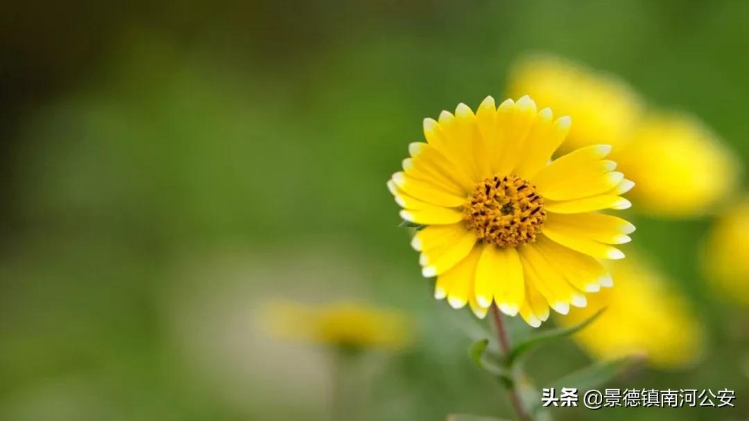 愿你越来越好的诗句,愿你不负时光的经典诗词