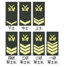 大学学生军训教官军衔,北大军训教官是什么军衔