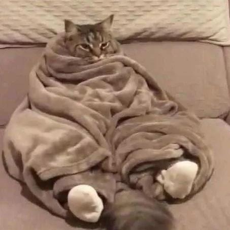 万能查看文件神器,快速查看各类文件工具