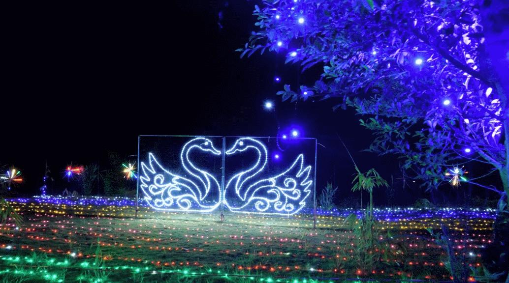 想拍“废片”都难！肇庆这些网红地也太好看了吧