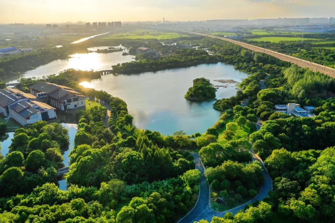 大局已定完整版视频,大局已定在线免费看