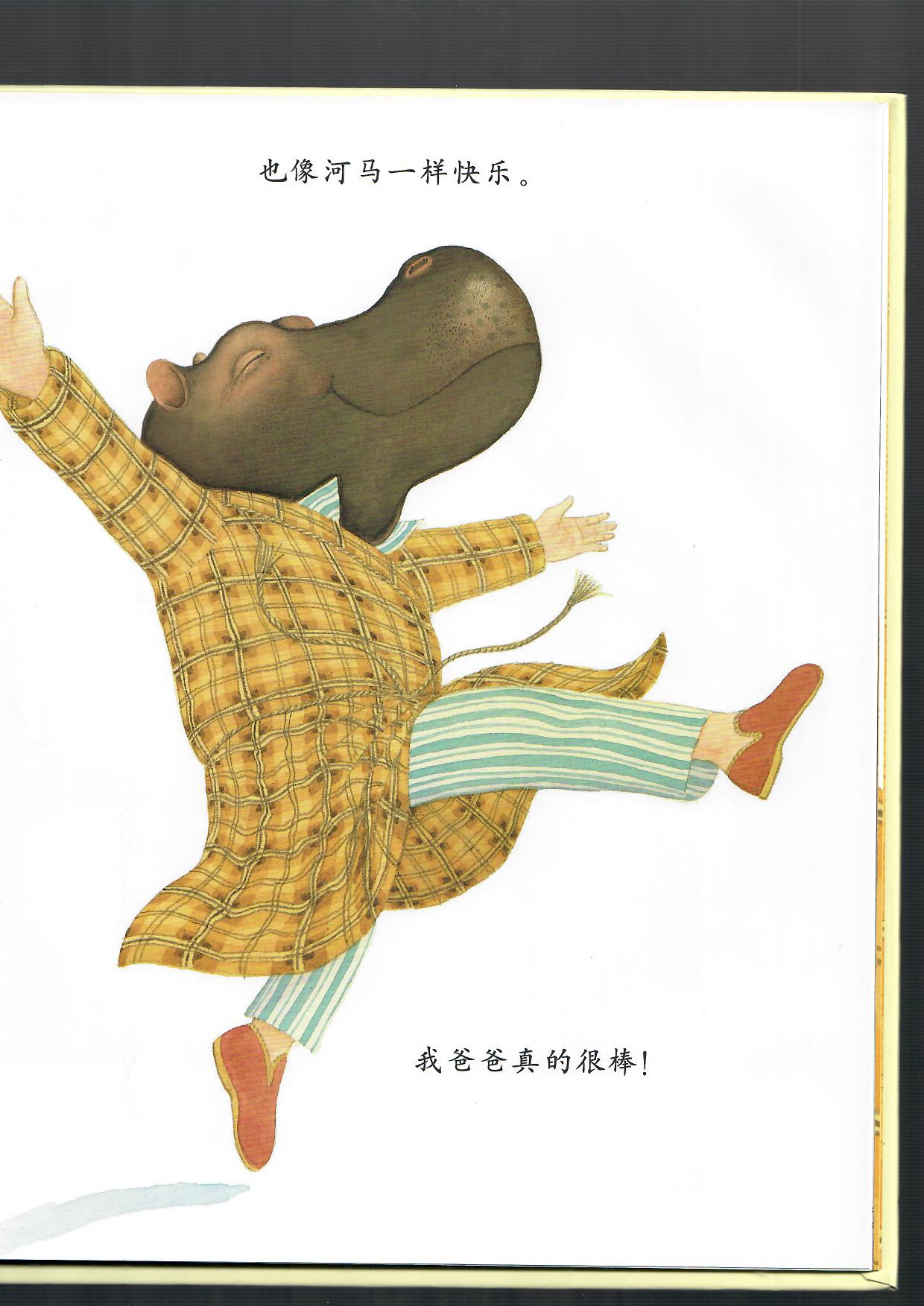 我爸爸精读,绘本经典我爸爸系列