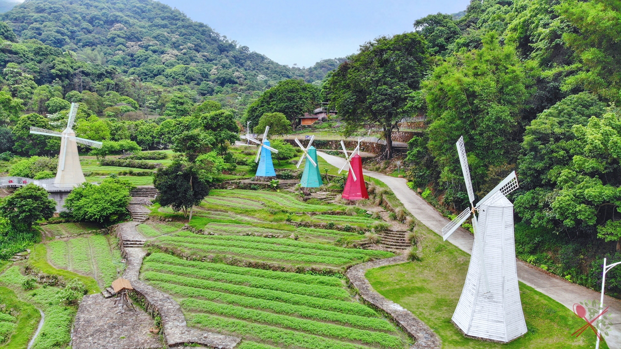 广州簕杜鹃瀑布,广州附近的高山瀑布