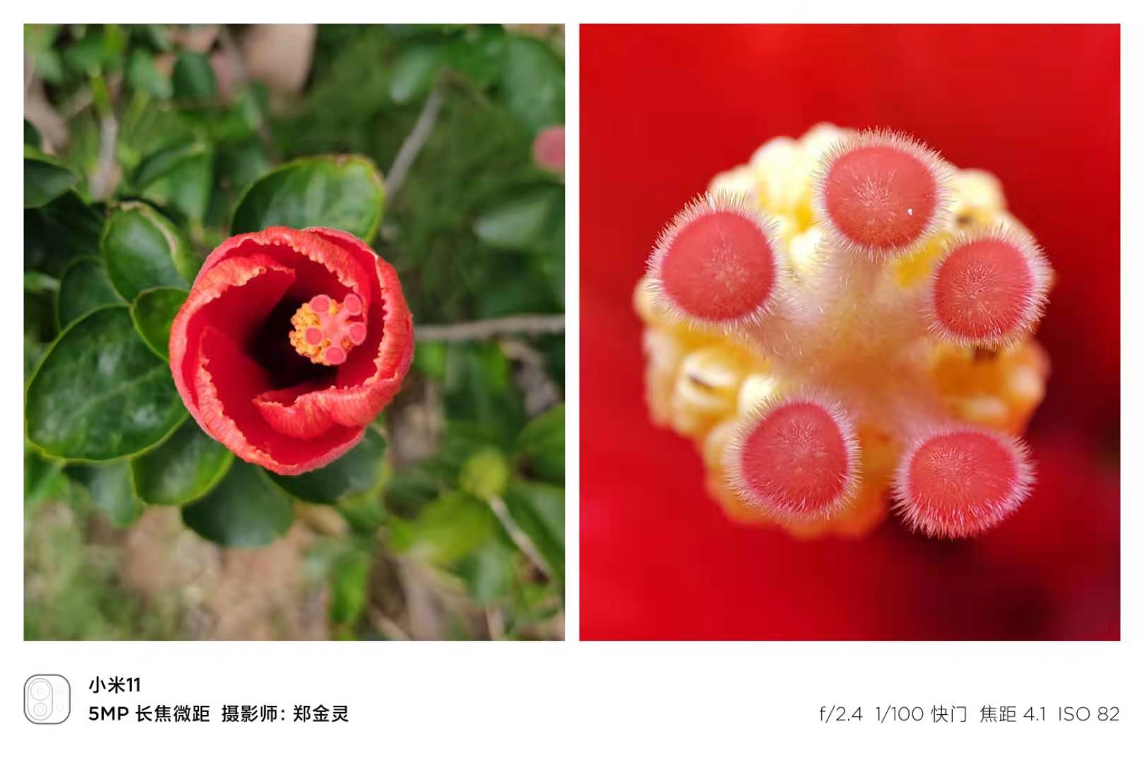 小米11最便宜的屏幕价格,小米发布会小屏旗舰