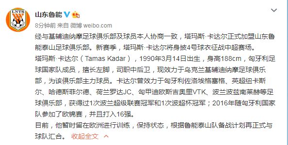 鲁能对卡达尔最新消息,鲁能签第五外援