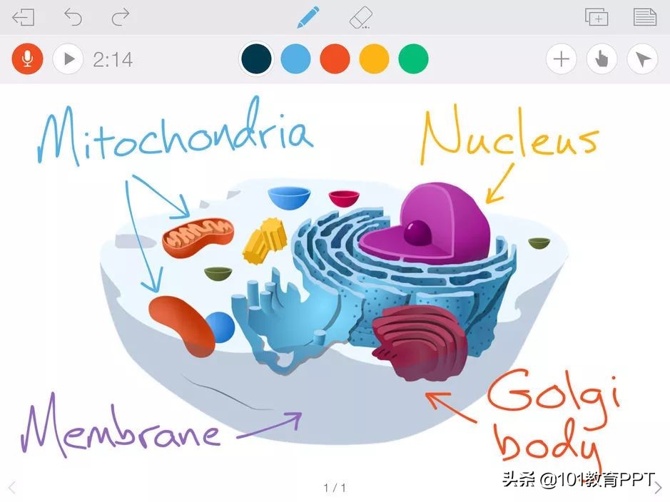 数学老师教学软件app,数学老师启蒙app