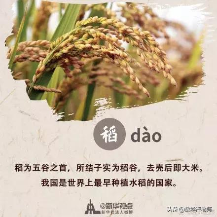 中国农民丰收节秋分节气同一天,农历秋分日为中国农民丰收节