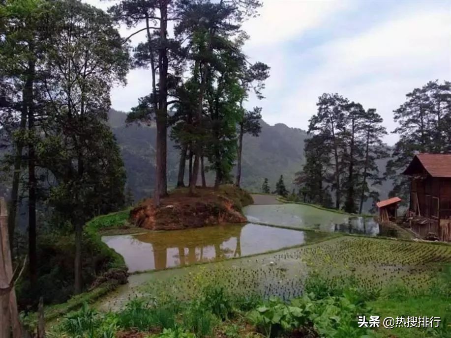 苗族歌手张丽娅邀请你：这个春天，我们相聚苗族锡绣发源地！