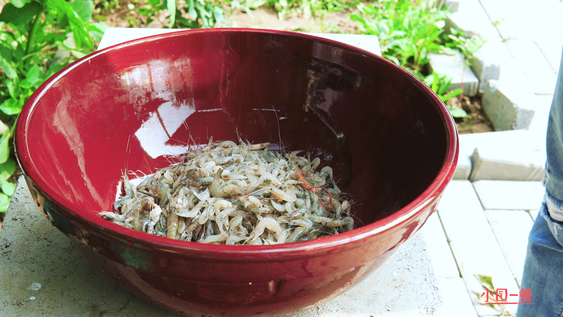 淅川县特点美食炸河虾银鱼,油炸小鱼虾怎么做好吃