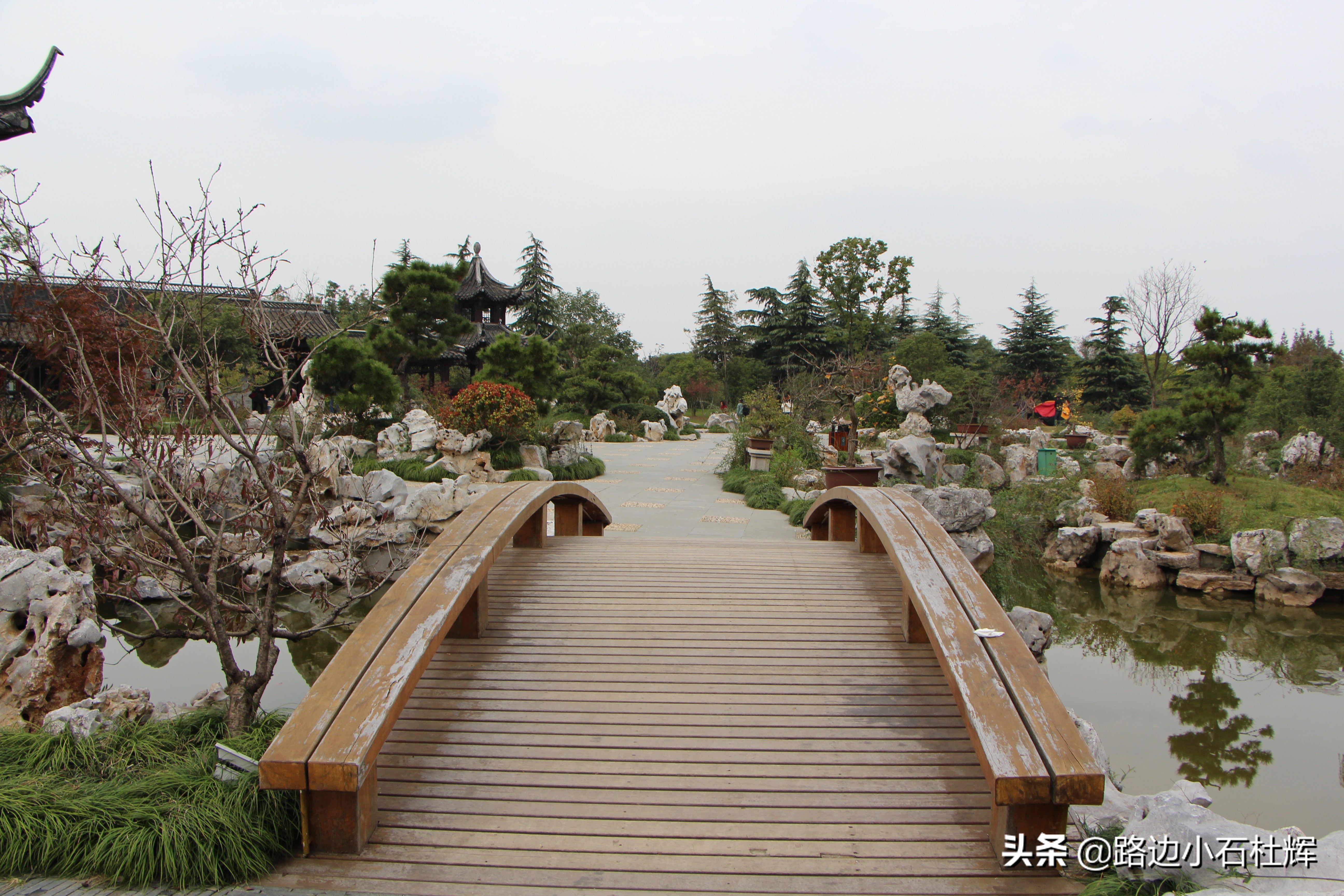 扬州瘦西湖之行,扬州瘦西湖游一圈