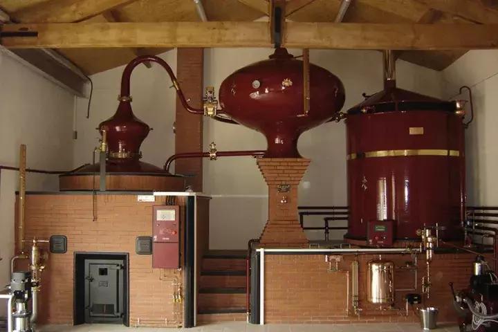 干邑怎么挑,新手如何选干邑