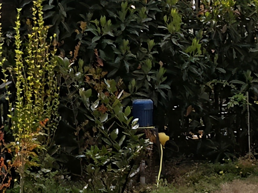 远程自动喷灌系统,自动喷灌系统设计