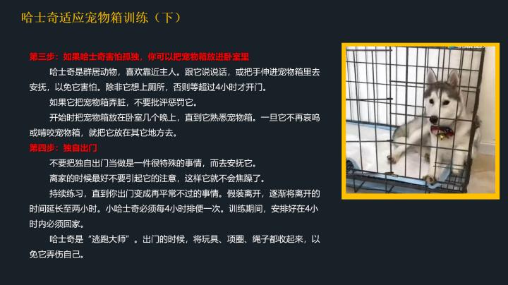 哈士奇到底应该怎么养,20天左右的哈士奇怎么喂养