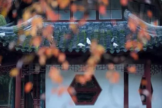 治家格言解析完整版汇集100句,治家格言100篇